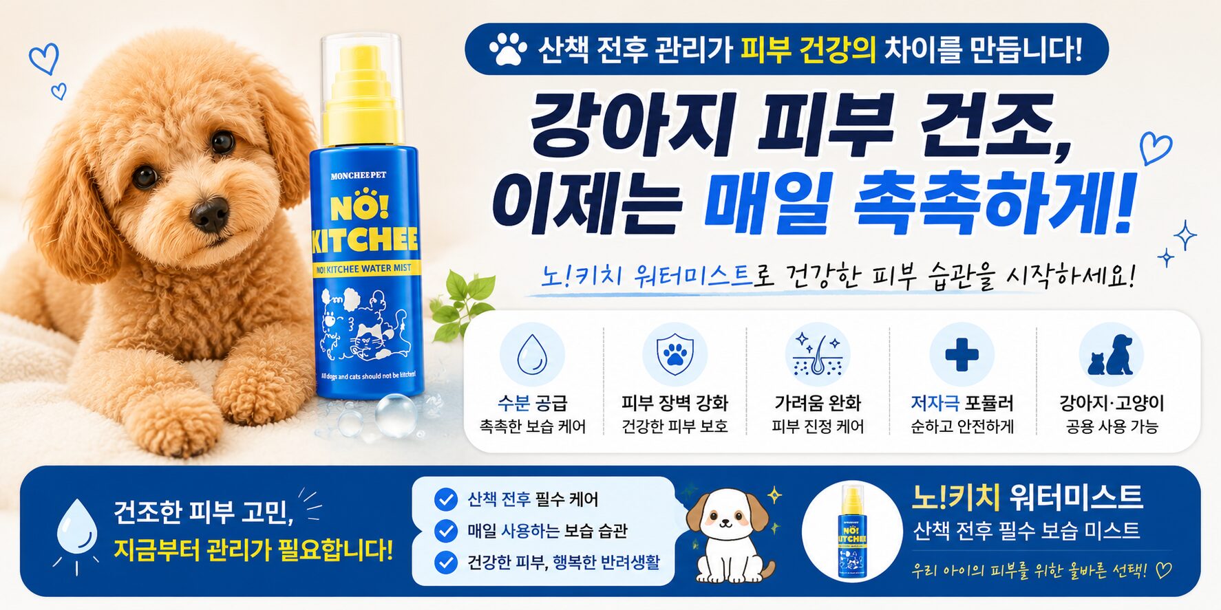 강아지 피부 건조