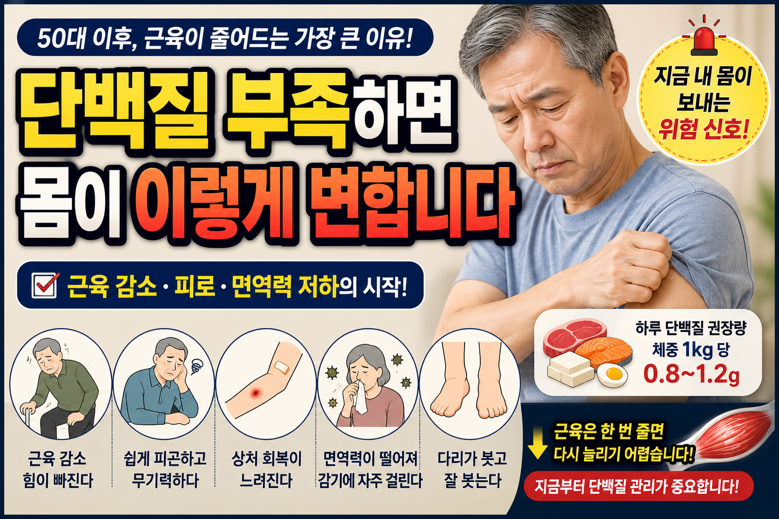 50대 이상 중장년층의 단백질 부족 증상과 근육 감소를 설명하는 건강 정보 썸네일