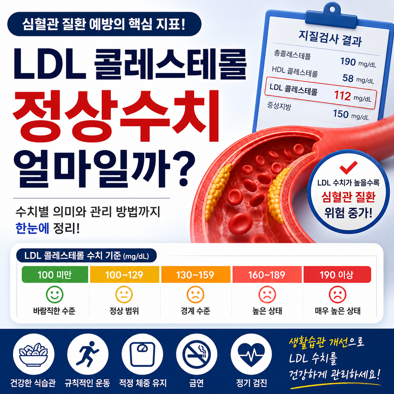 LDL 콜레스테롤 정상수치 얼마일까? 건강검진 결과 쉽게 이해하기